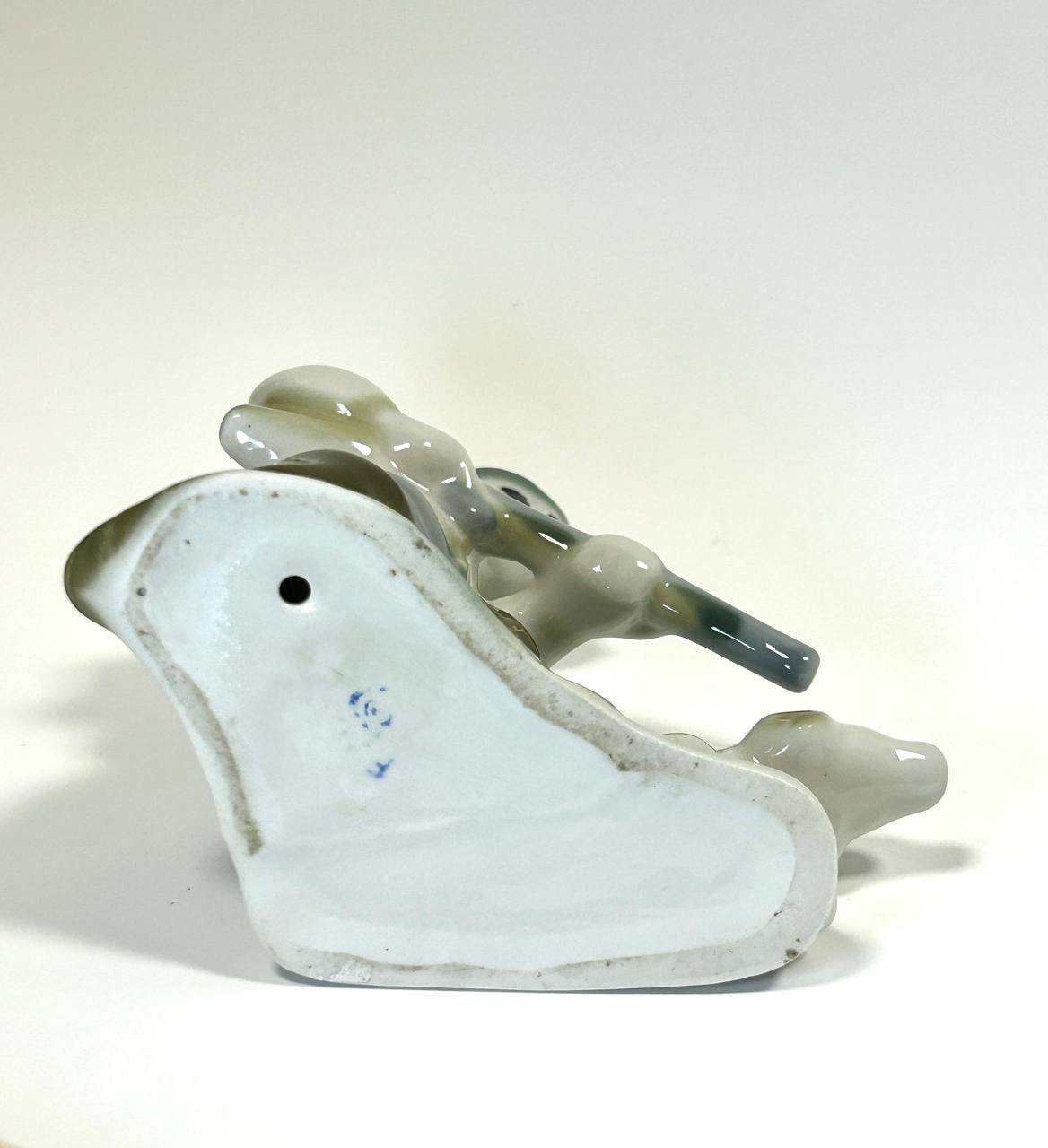 Cropped photo 2026 02 16 14 21 21