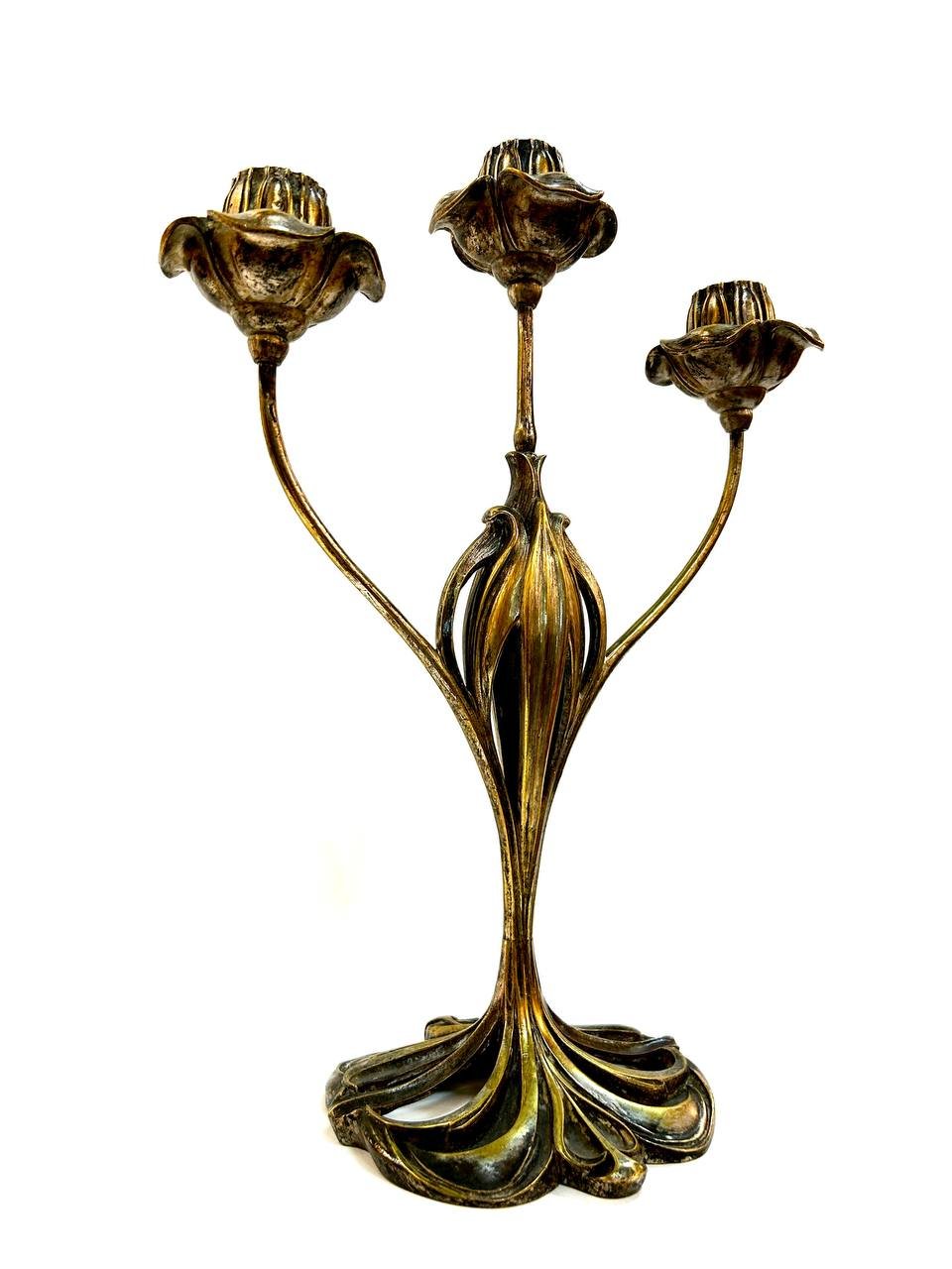 Cropped photo 2026 03 17 13 22 43