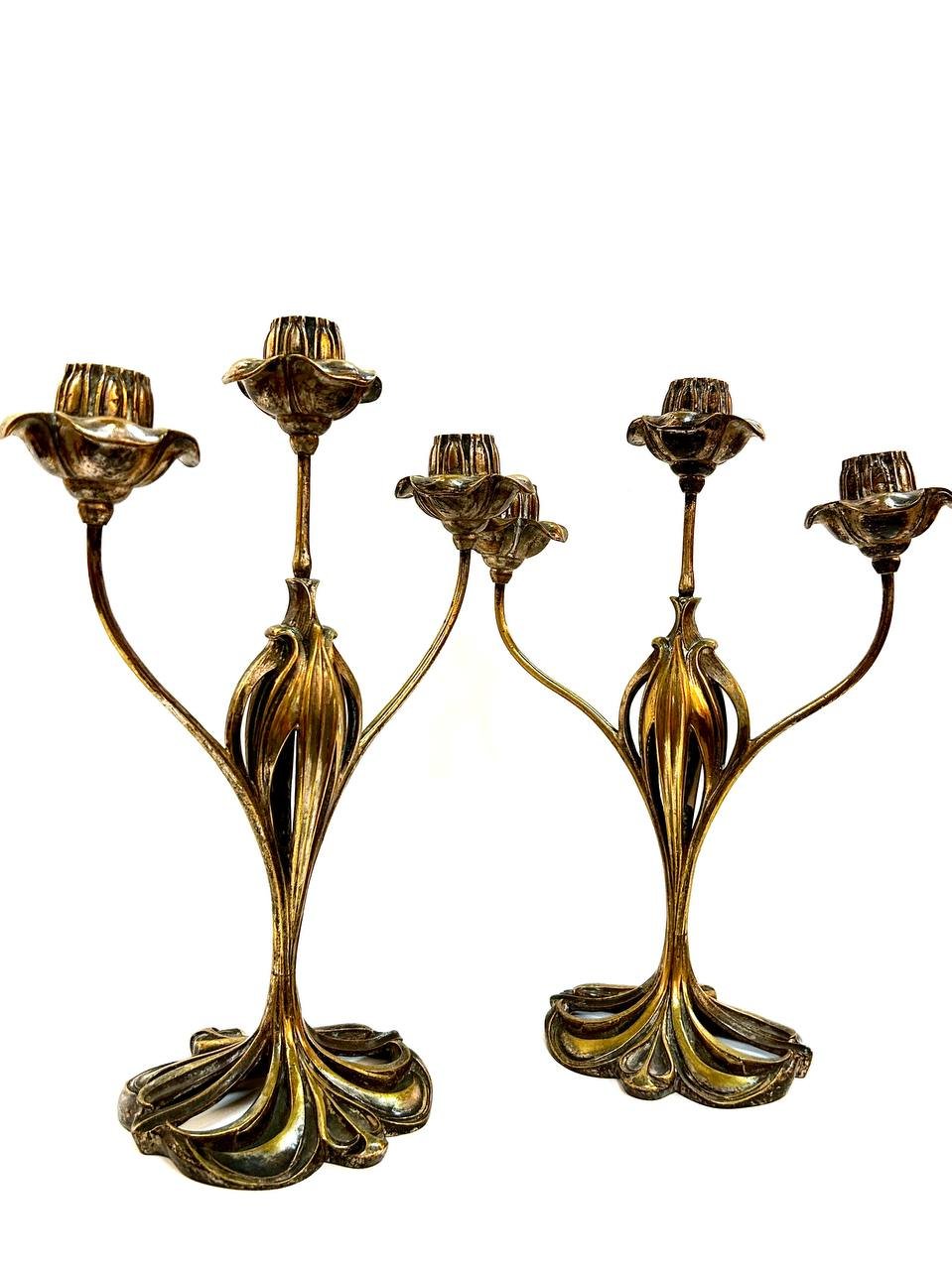 Cropped photo 2026 03 17 13 22 41