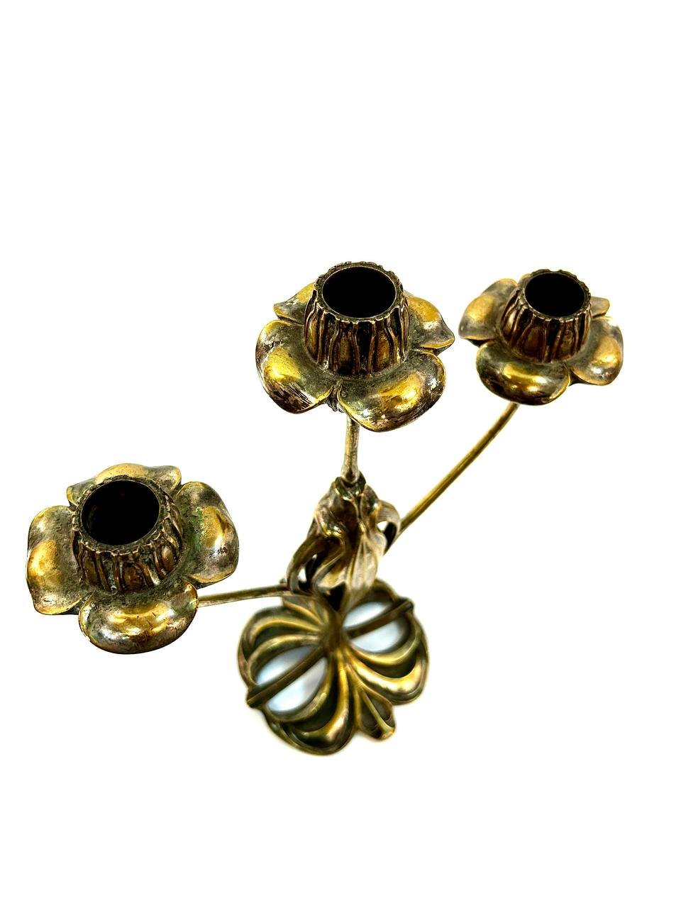 Cropped photo 2026 03 17 13 22 45