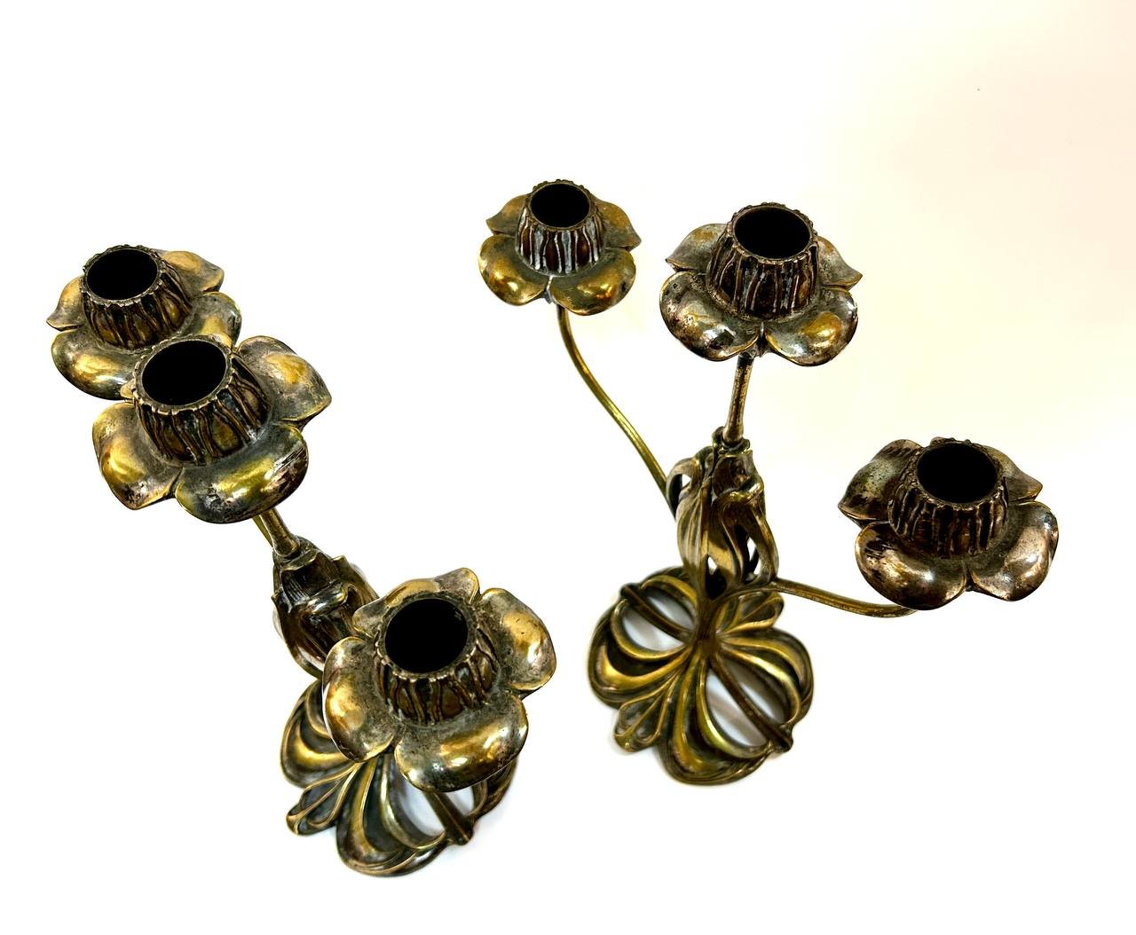 Cropped photo 2026 03 17 13 22 47