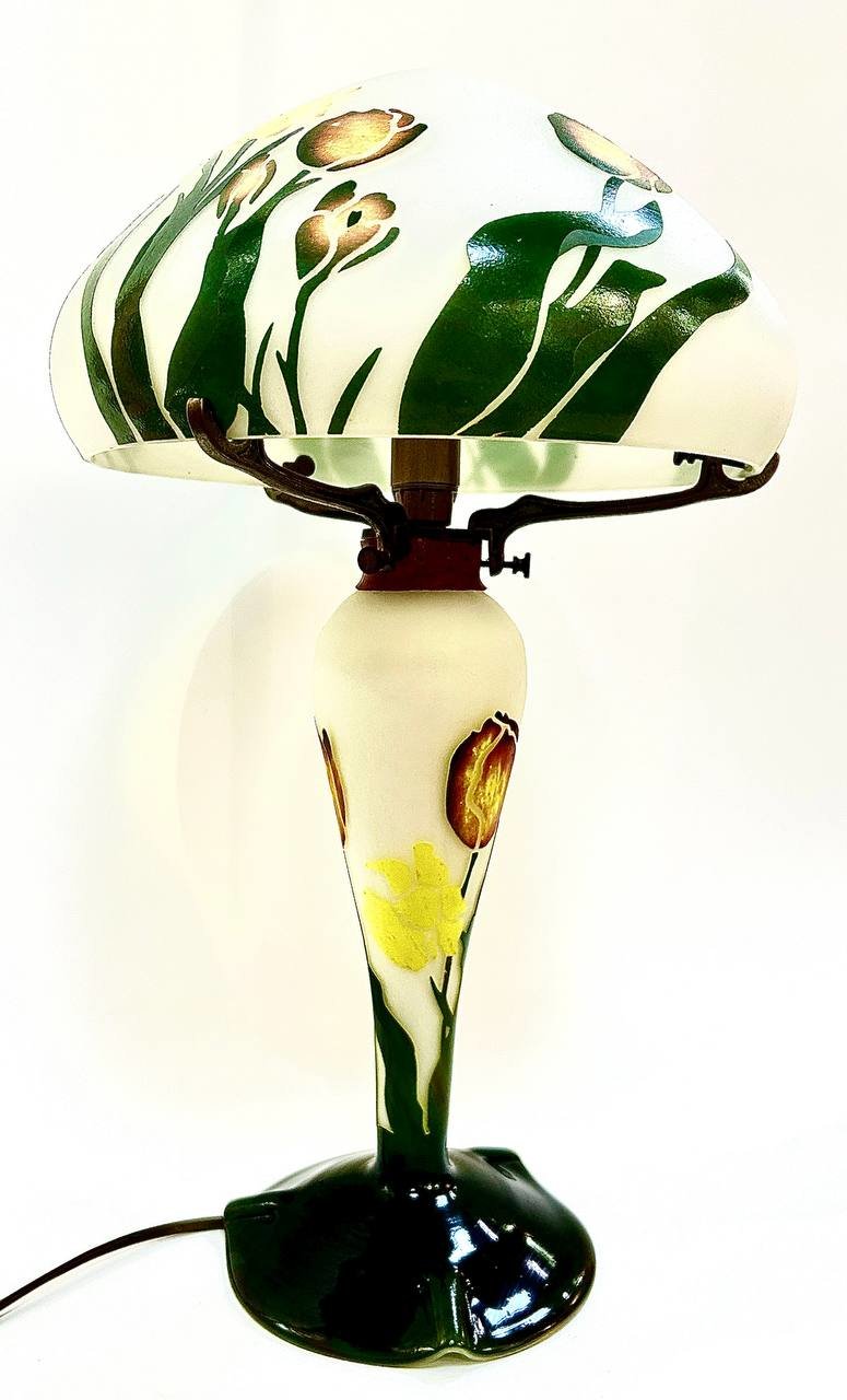 Cropped photo 2026 03 17 13 43 34