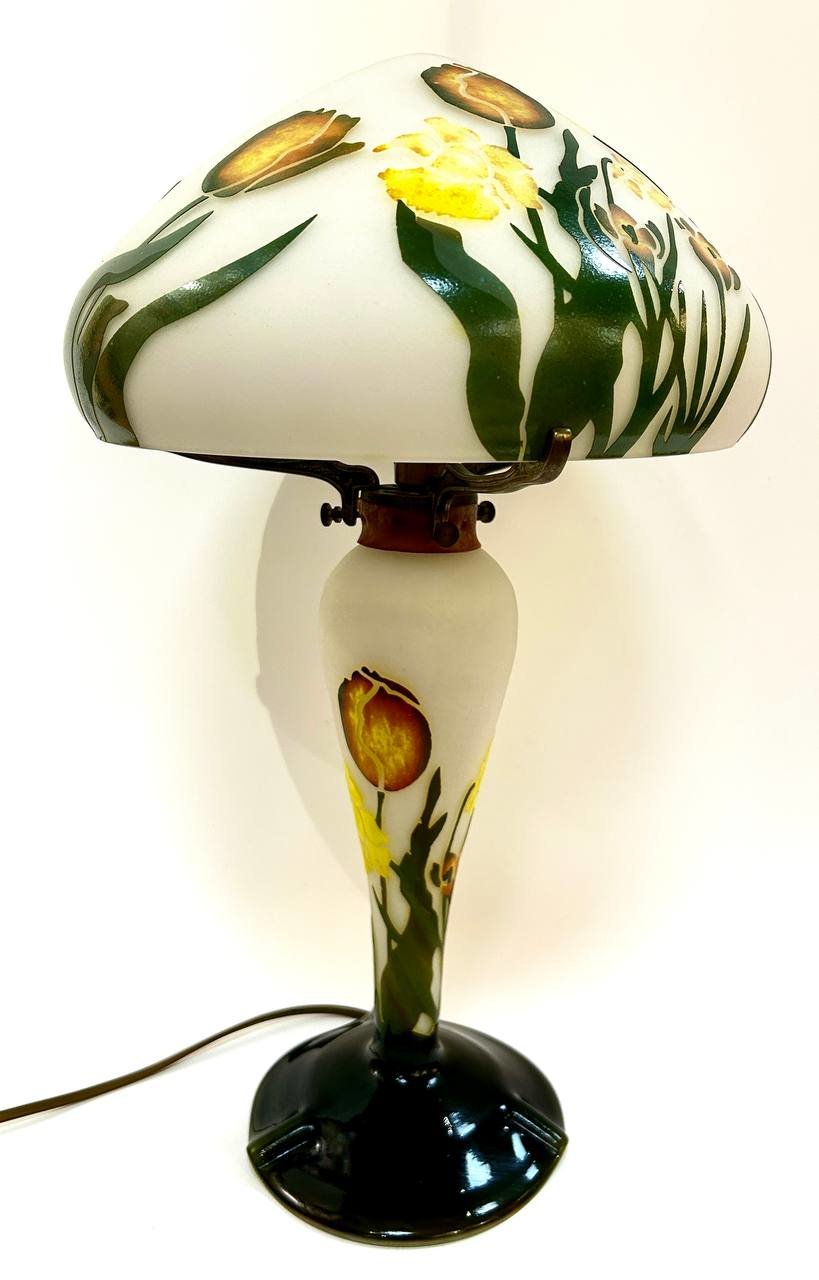 Cropped photo 2026 03 17 13 43 35