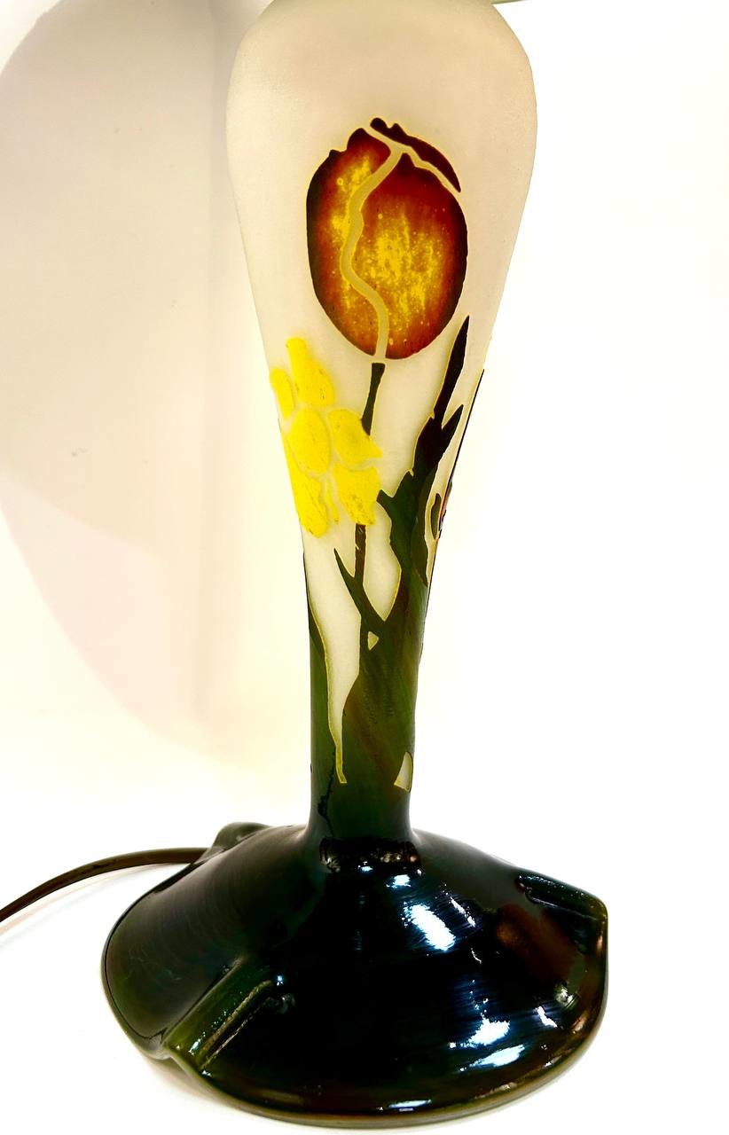 Cropped photo 2026 03 17 13 43 35  2 