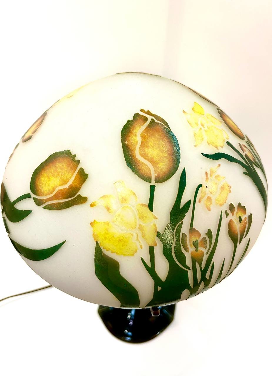 Cropped photo 2026 03 17 13 43 36