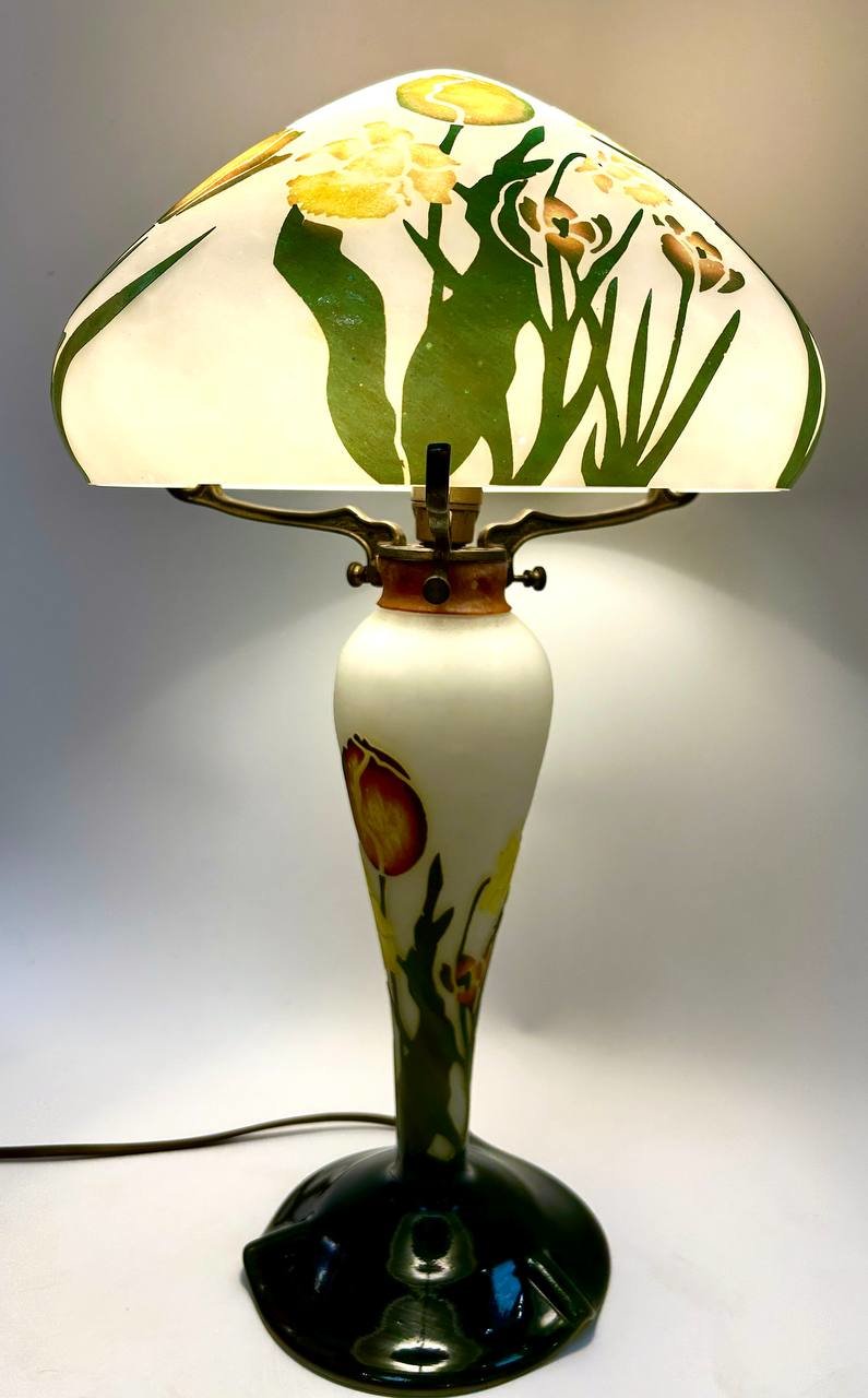 Cropped photo 2026 03 17 13 43 36  2 