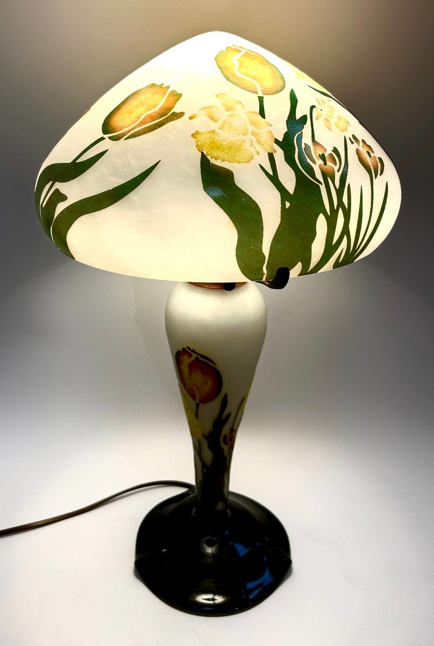 Cropped photo 2026 03 17 13 43 38