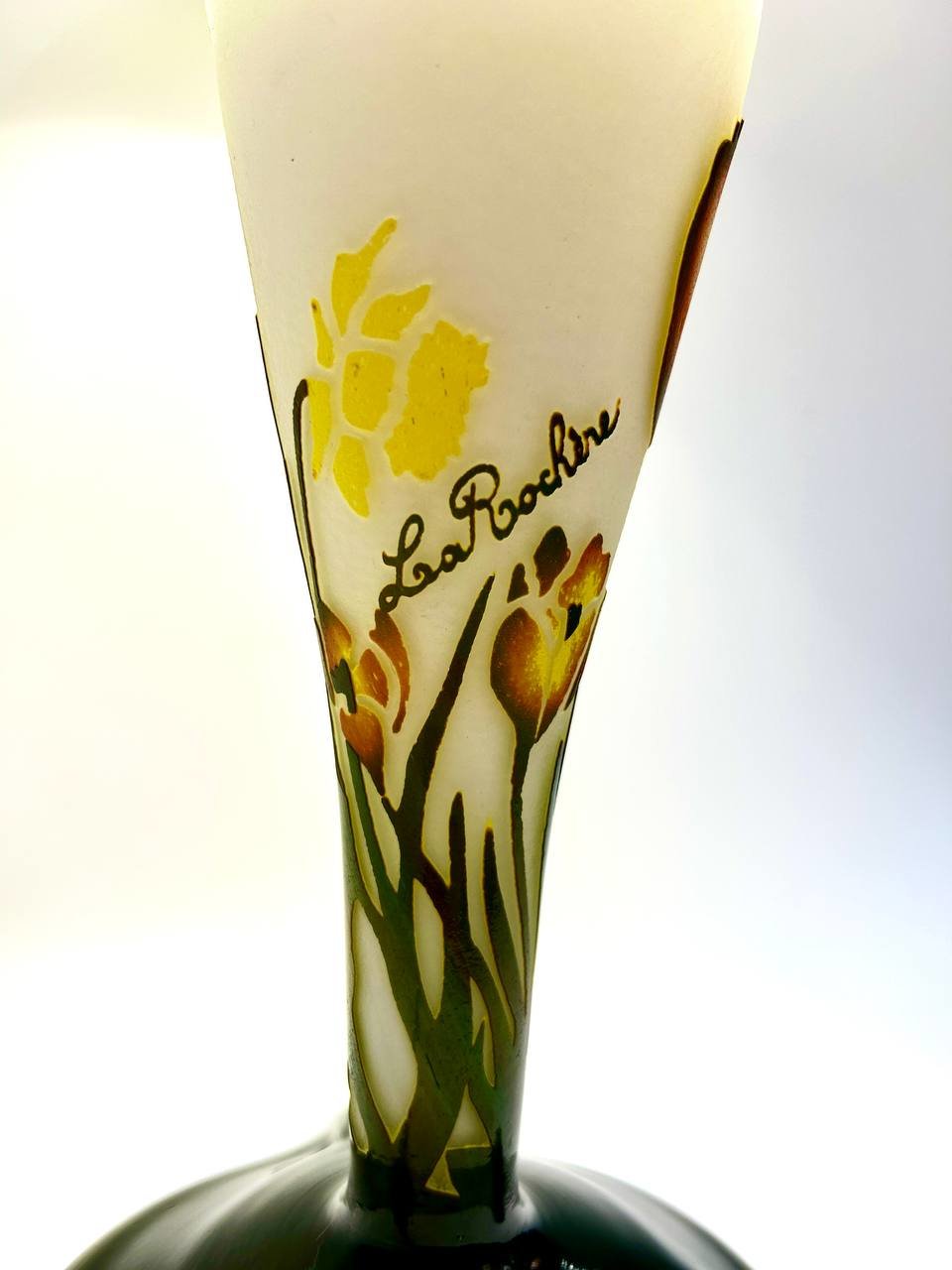 Cropped photo 2026 03 17 13 43 39