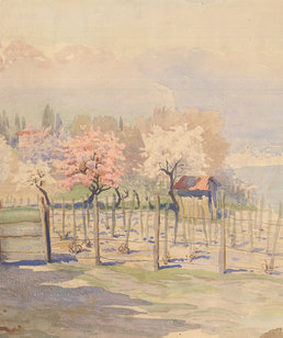 PaintingImage-2424