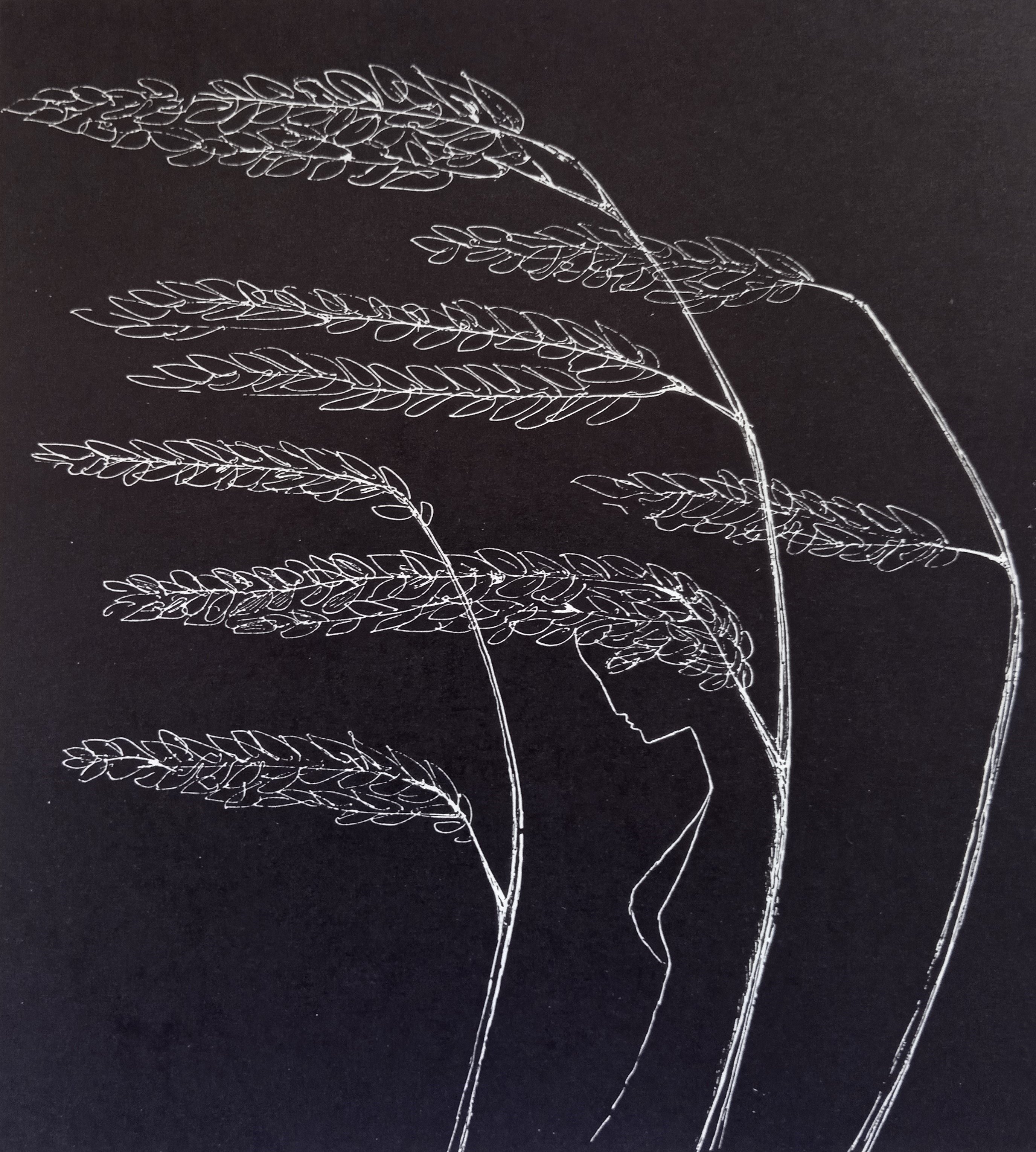 Cropped img 20250813 165016