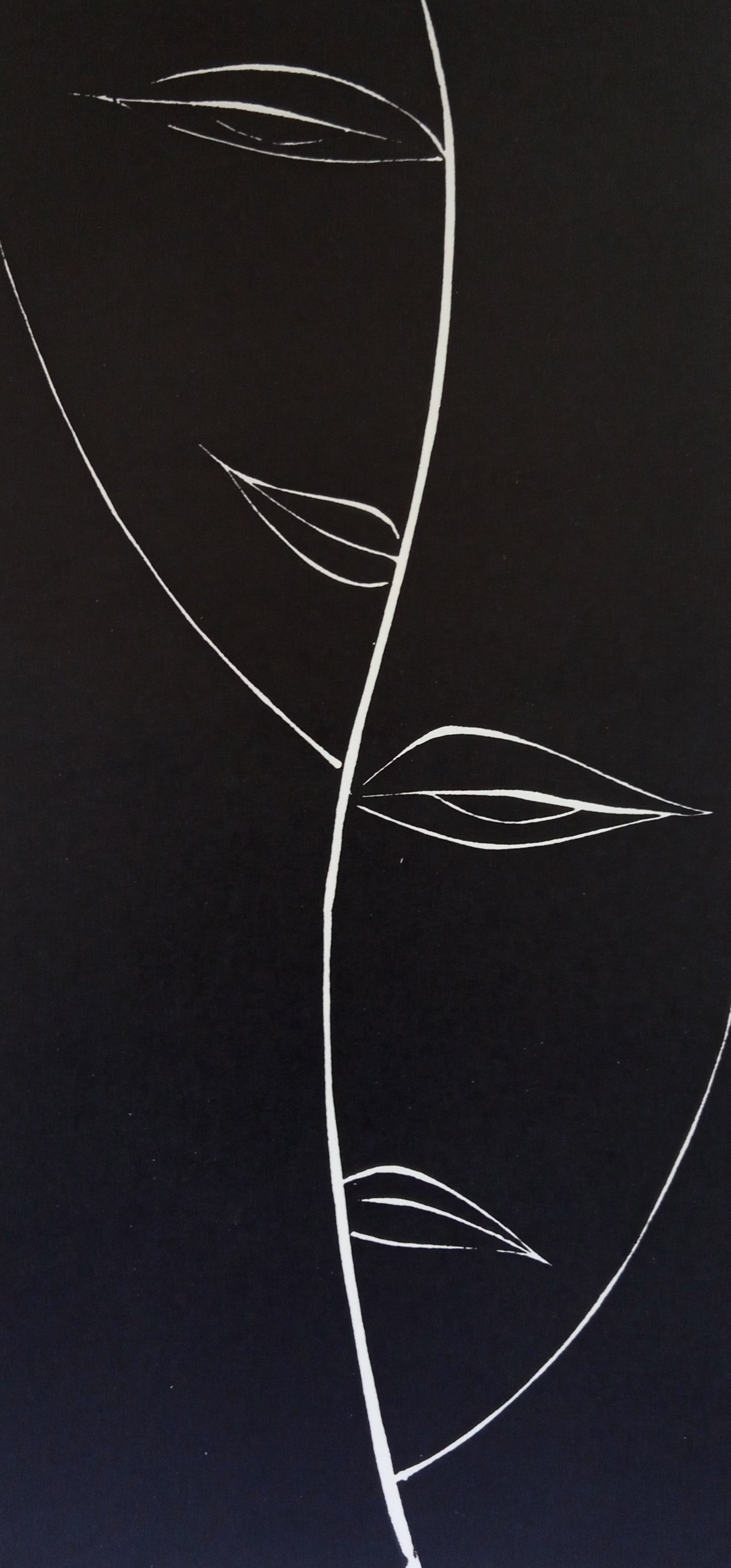 Cropped img 20250813 165055 1