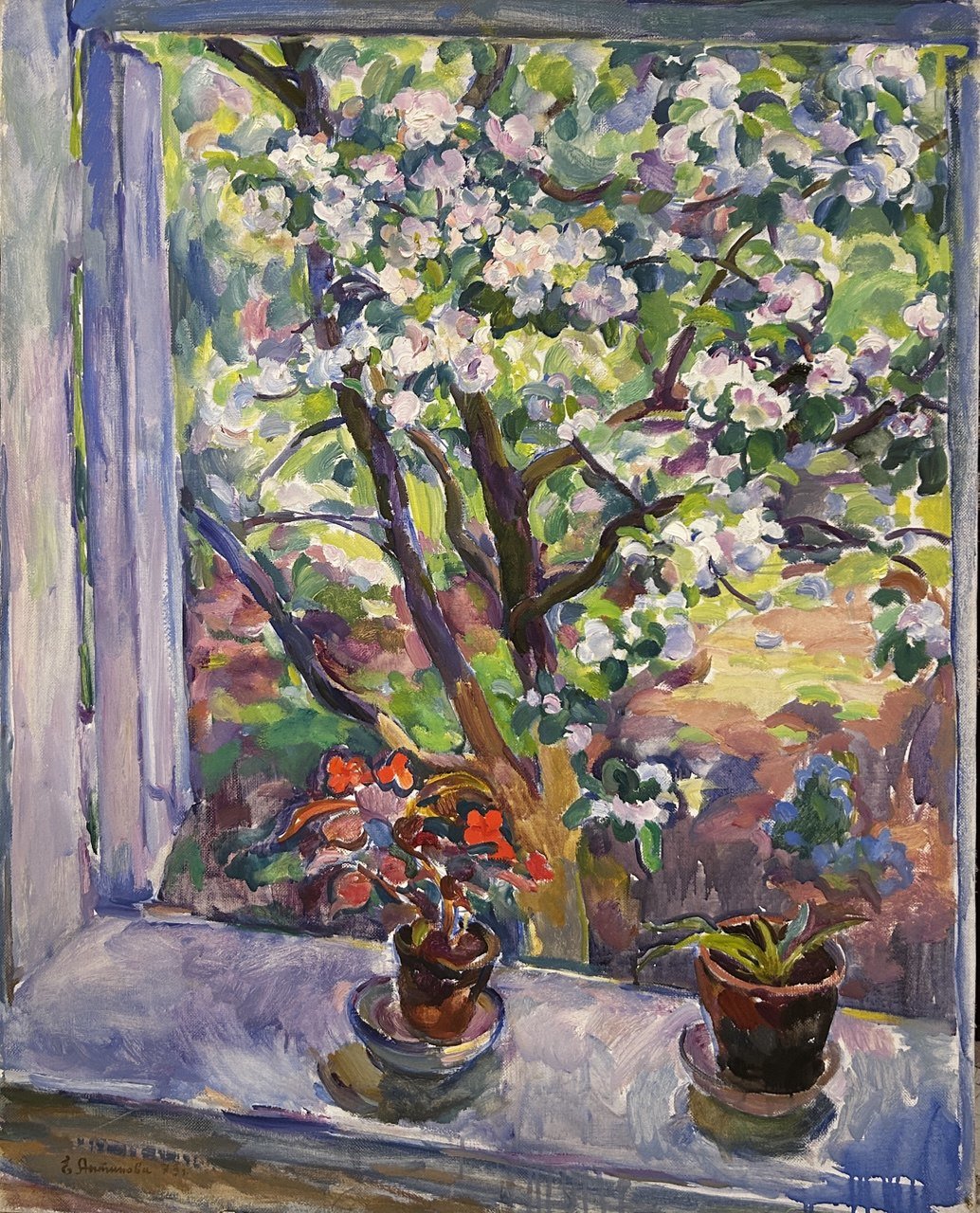 Cropped photo 2026 02 12 11 23 56